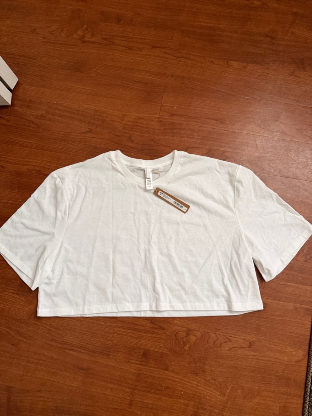 Skims Relaxed Oversized Cropped T-Shirt (white)